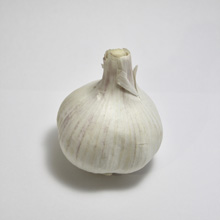 Garlic bulb thumbnail